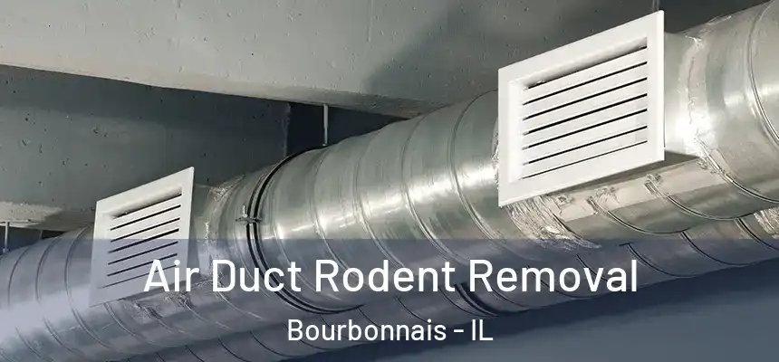  Air Duct Rodent Removal Bourbonnais - IL