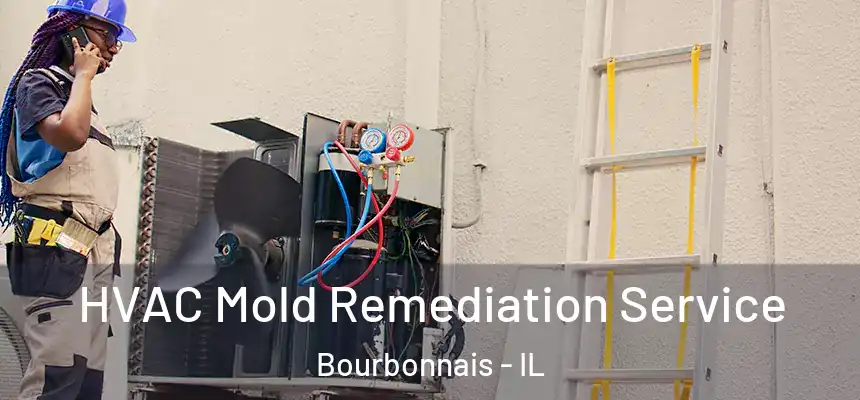 HVAC Mold Remediation Service Bourbonnais - IL
