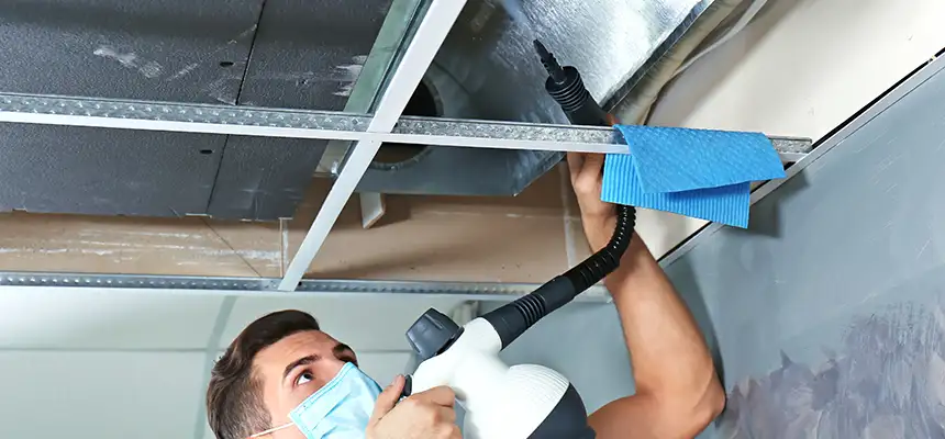 Our Air Duct Rodent Removal Services in Bourbonnais, IL
