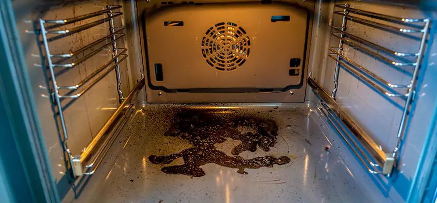 Our Dryer Vent Mold Cleaning Services in Bourbonnais, IL