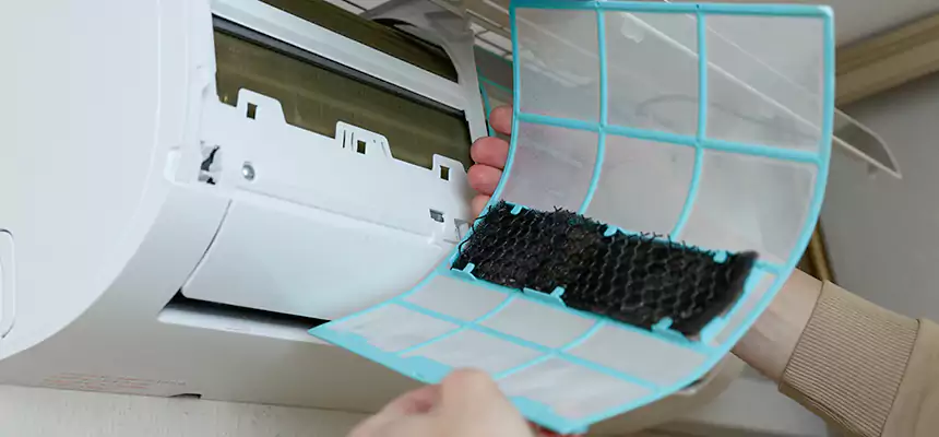 Gentle Ductwork Odor-Control Pet Dander Duct Cleaning in Bourbonnais, IL