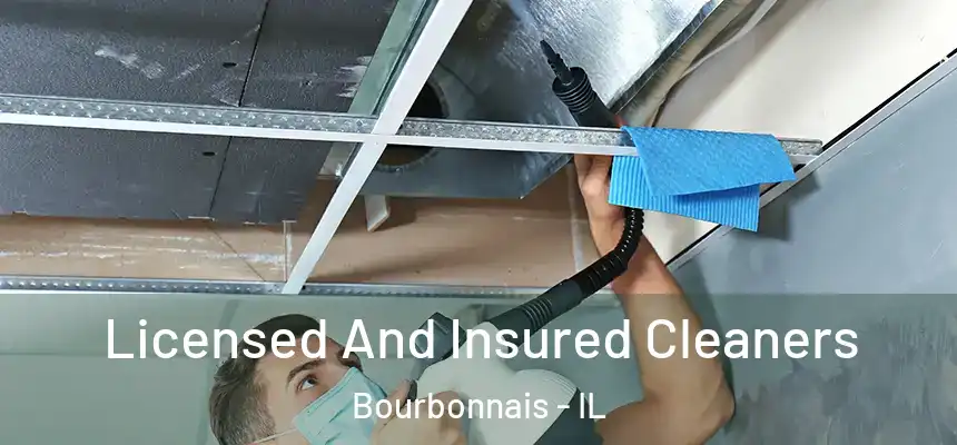 Licensed And Insured Cleaners Bourbonnais - IL