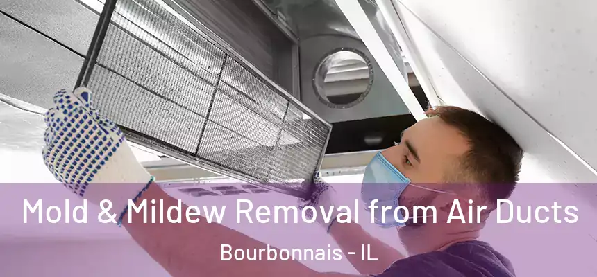 Mold & Mildew Removal from Air Ducts Bourbonnais - IL