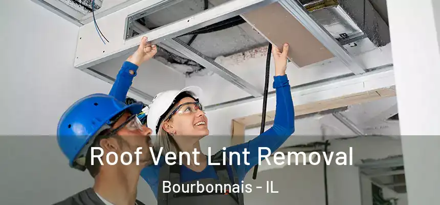 Roof Vent Lint Removal Bourbonnais - IL