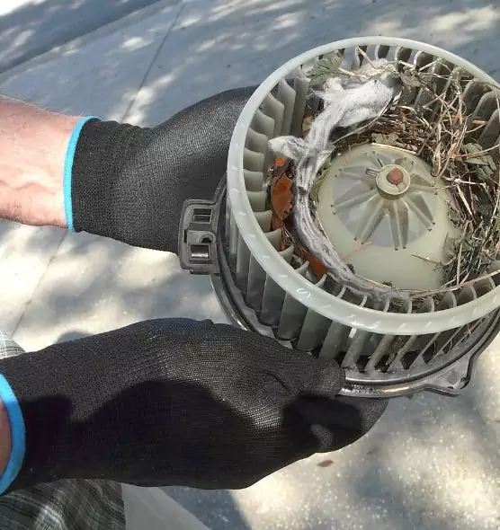 About Air Duct Mice Removal in Bourbonnais, IL