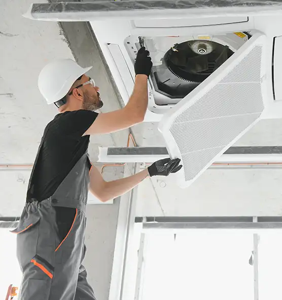 About Air Duct Rodent Removal in Bourbonnais, IL