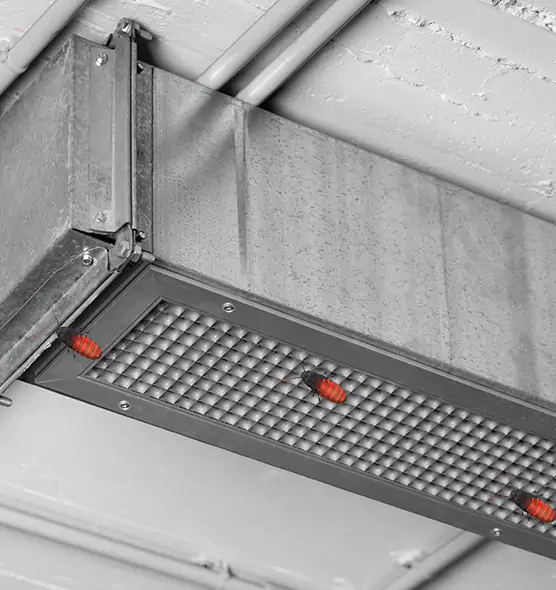 Affordable Insect Removal from Air Ducts in Bourbonnais, IL