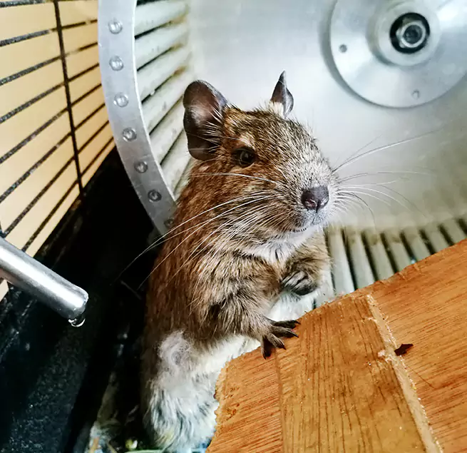 Why Homeowners & Businesses Trust Us Bourbonnais, IL