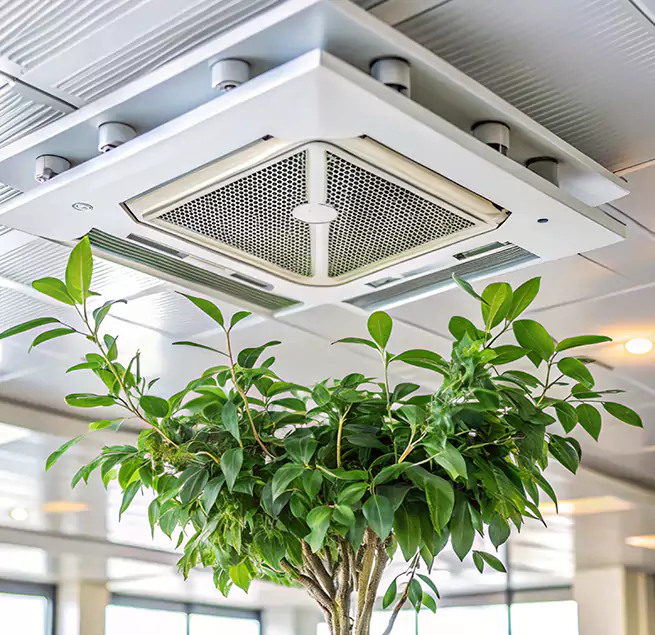 Why Homeowners & Businesses Trust Us in Bourbonnais, IL