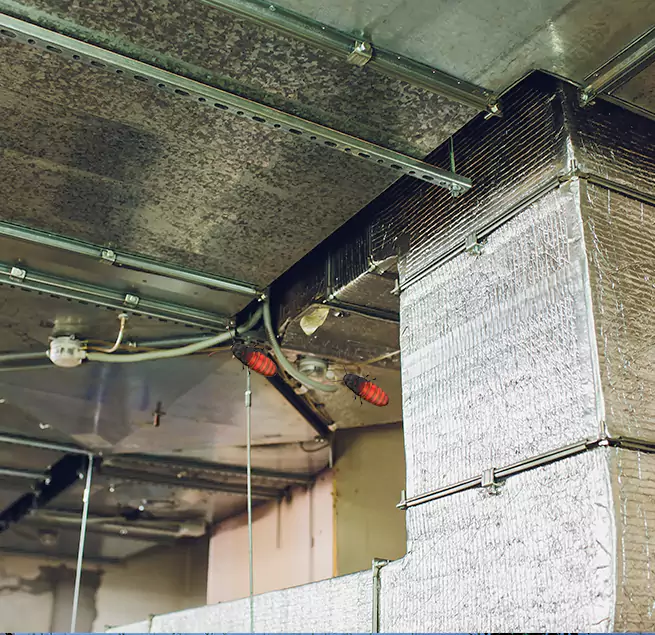 Why Homeowners & Businesses Trust Us Bourbonnais, IL?