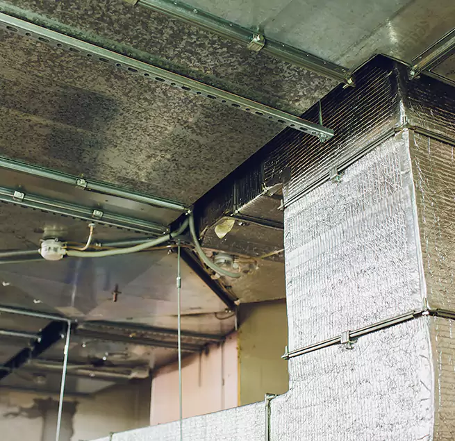 Why Homeowners & Businesses Trust Us in Bourbonnais, IL?